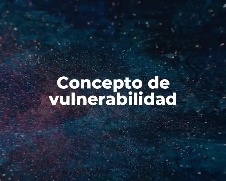 Concepto de vulnerabilidad