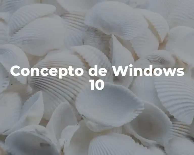 Concepto de Windows 10