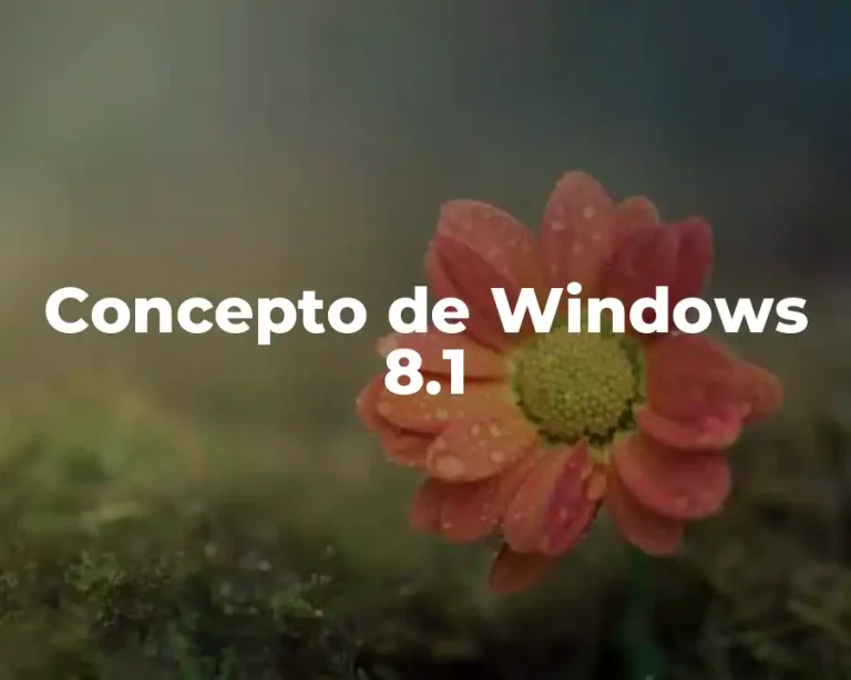 Concepto de Windows 8.1