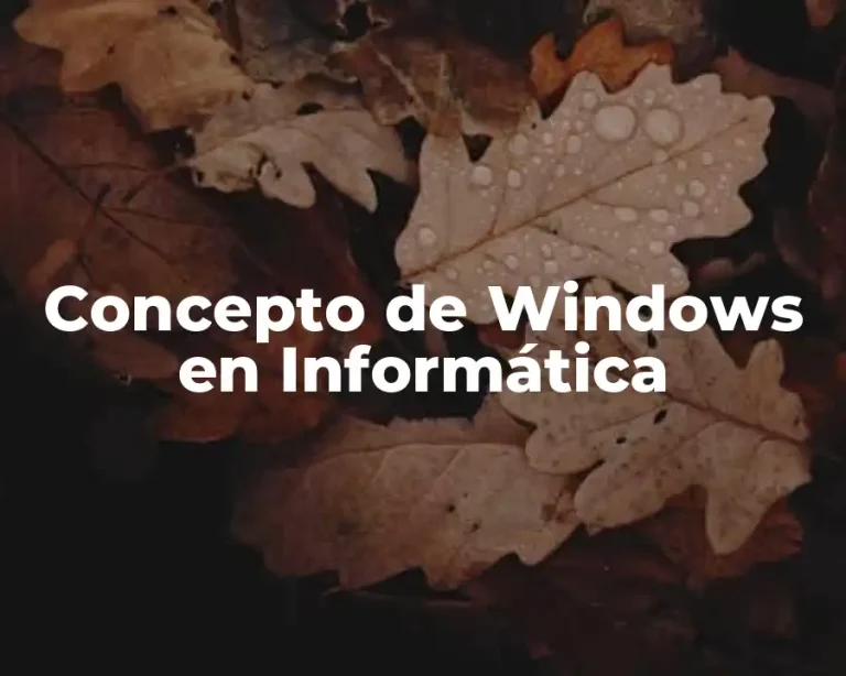 Concepto de Windows en Informática
