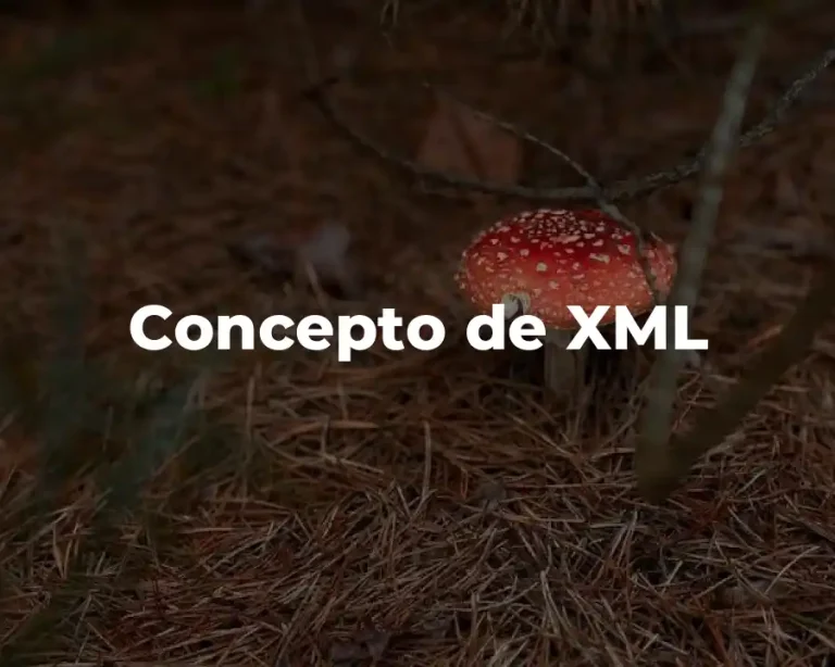Concepto de XML
