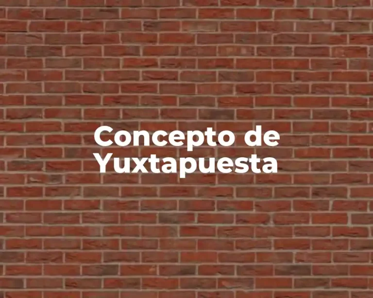 Concepto de Yuxtapuesta