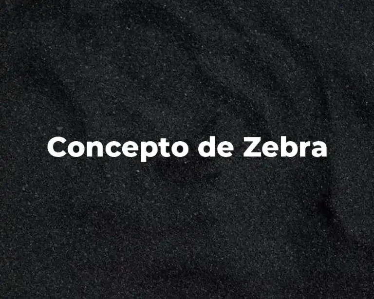 Concepto de Zebra