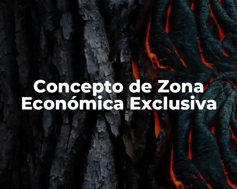 Concepto de Zona Económica Exclusiva