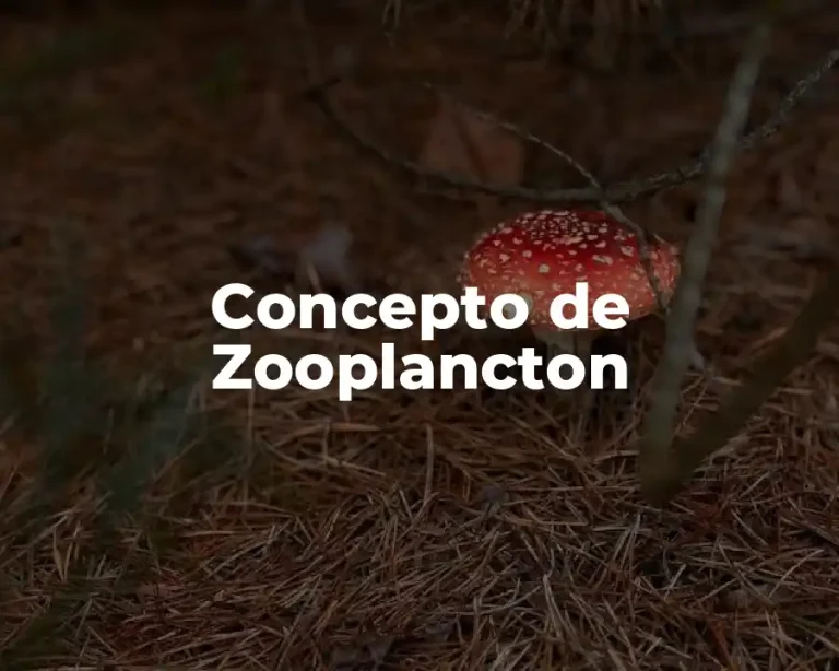 Concepto de Zooplancton