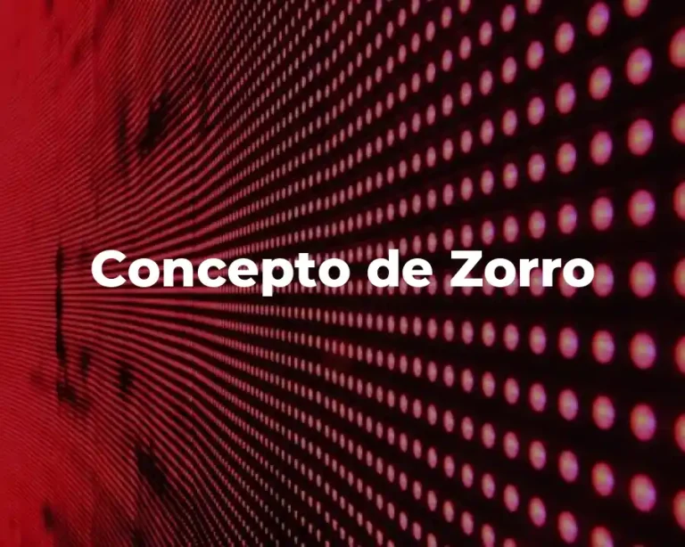 Concepto de Zorro