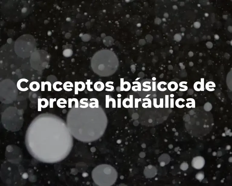 Conceptos básicos de prensa hidráulica