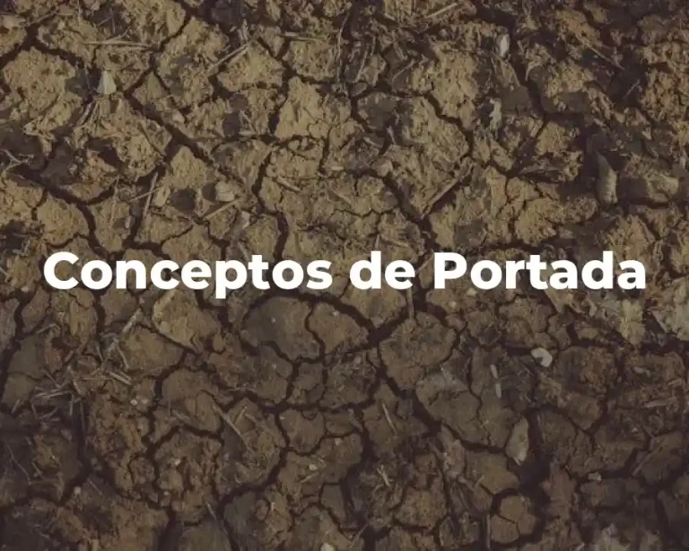 Conceptos de Portada