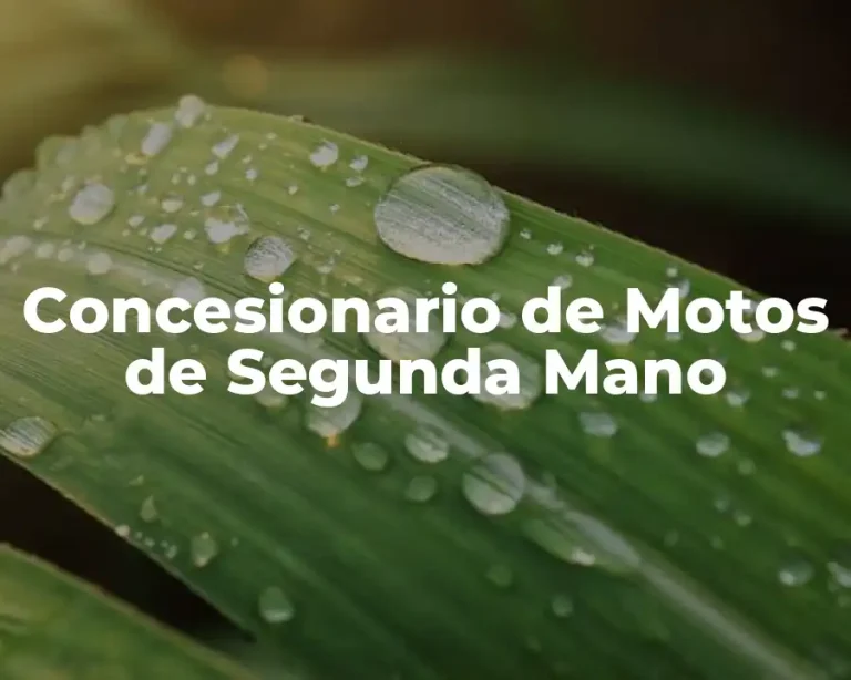 Concesionario de Motos de Segunda Mano