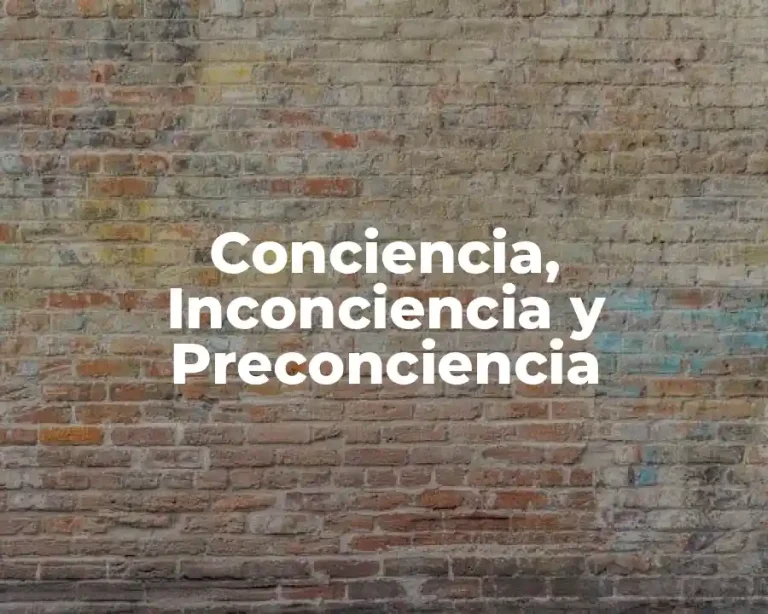 Conciencia, Inconciencia y Preconciencia