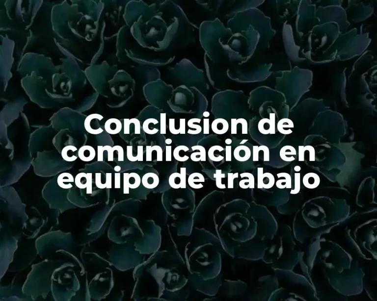 Conclusion de comunicación en equipo de trabajo