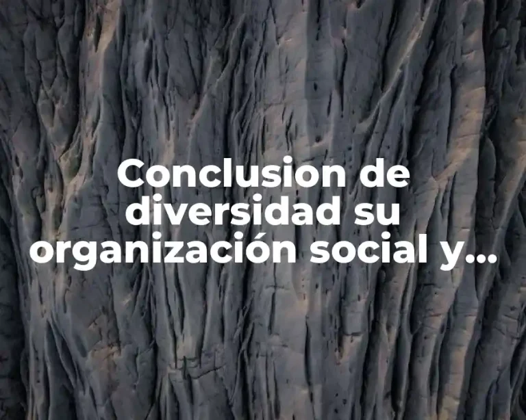 Conclusion de diversidad su organización social y política
