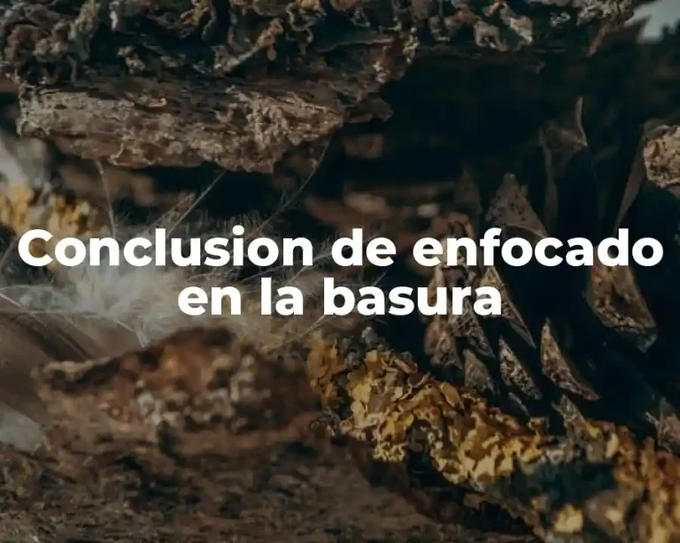 Conclusion de enfocado en la basura