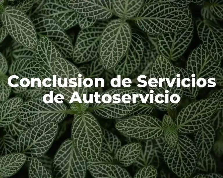 Conclusion de Servicios de Autoservicio