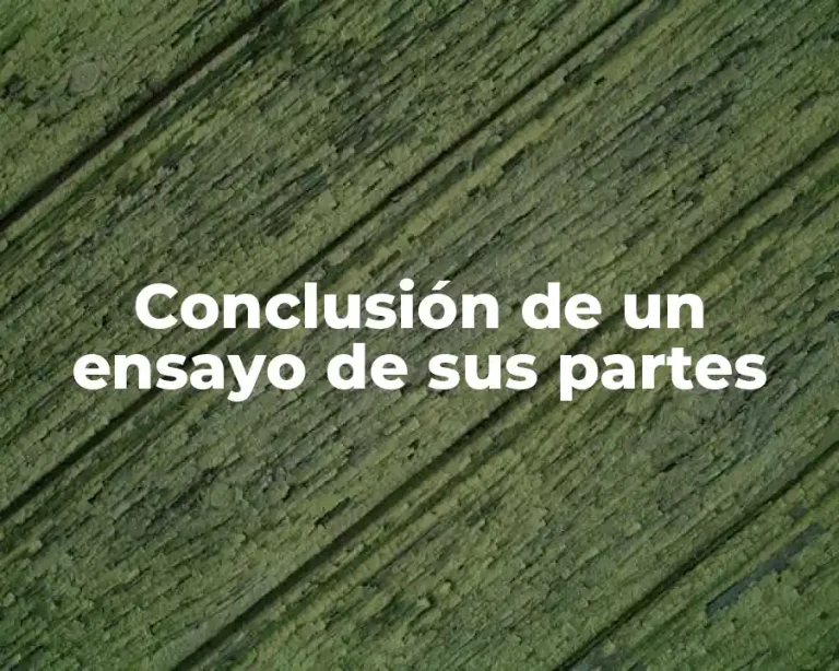 Conclusión de un ensayo de sus partes