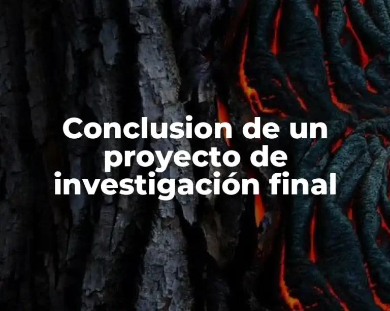 Conclusion de un proyecto de investigación final