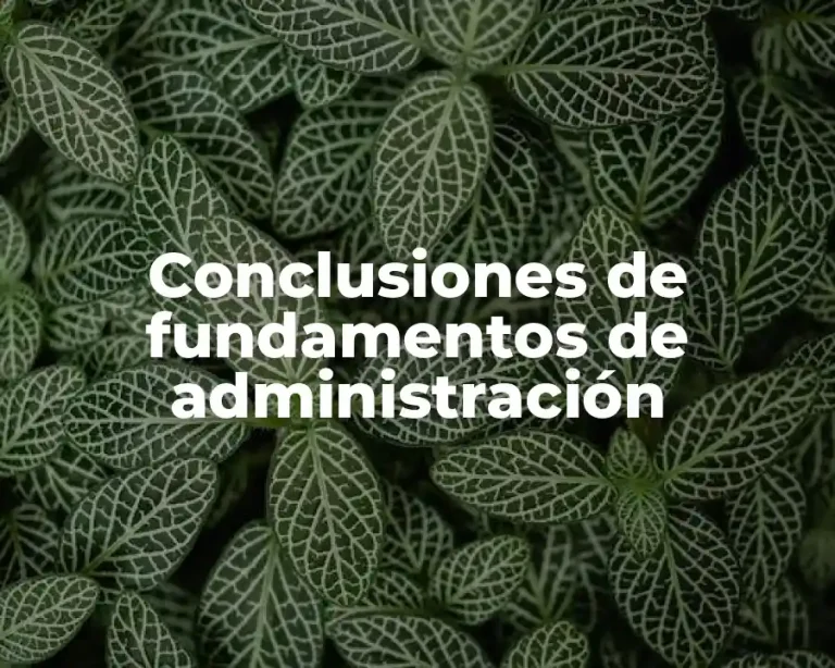 Conclusiones de fundamentos de administración