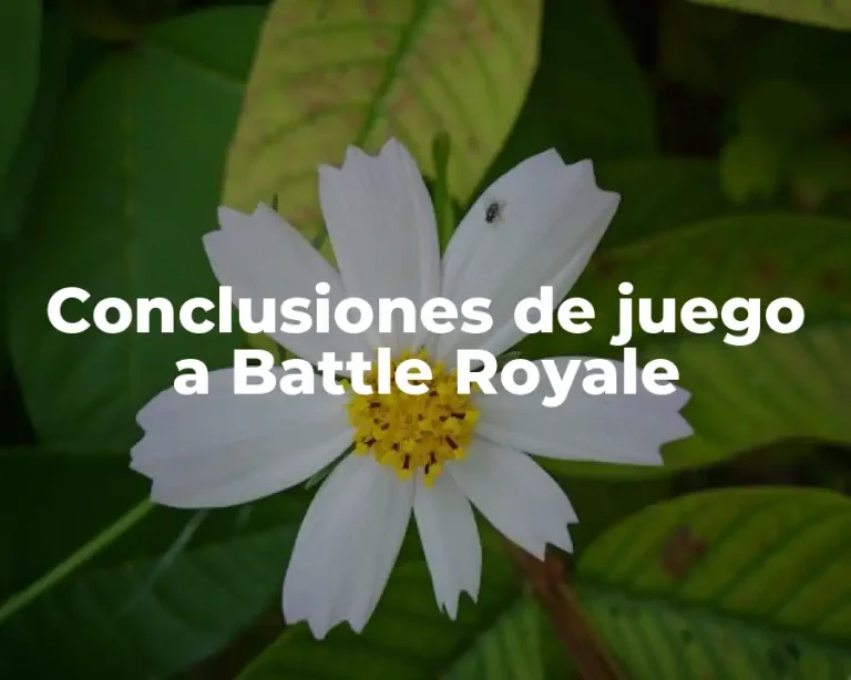 Conclusiones de juego a Battle Royale