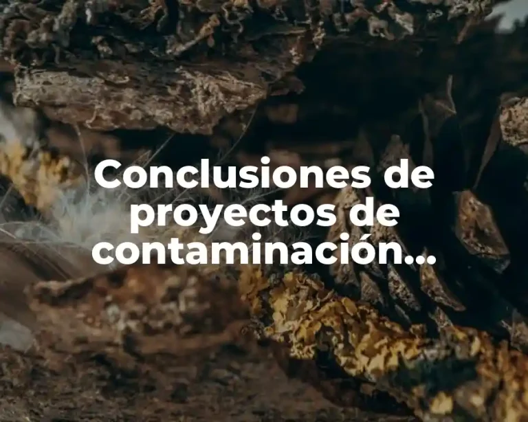 Conclusiones de proyectos de contaminación ambiental