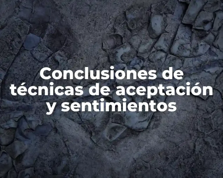 Conclusiones de técnicas de aceptación y sentimientos