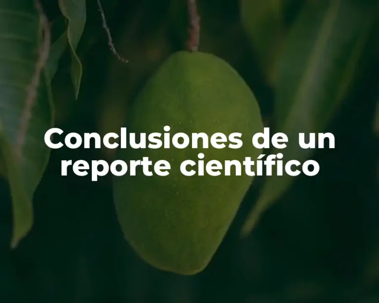 Conclusiones de un reporte científico