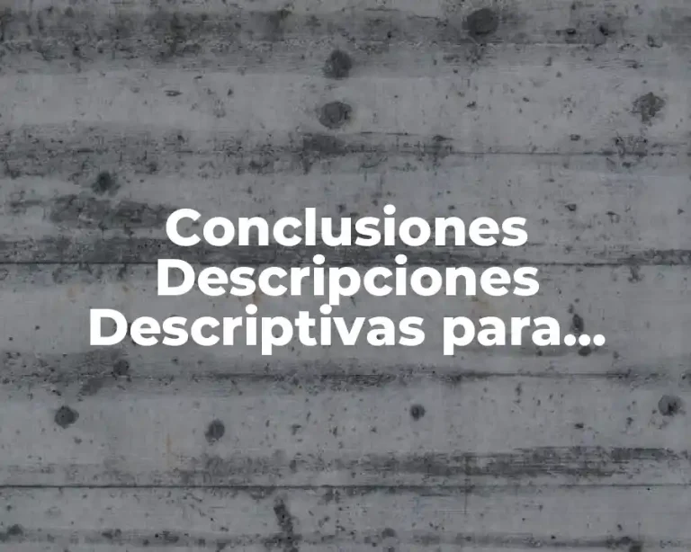 Conclusiones Descripciones Descriptivas para Primaria