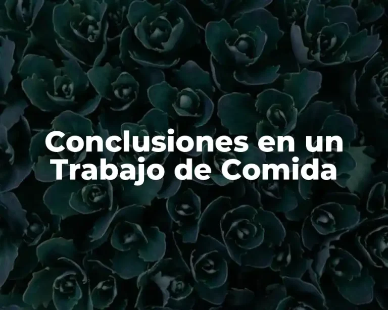 Conclusiones en un Trabajo de Comida