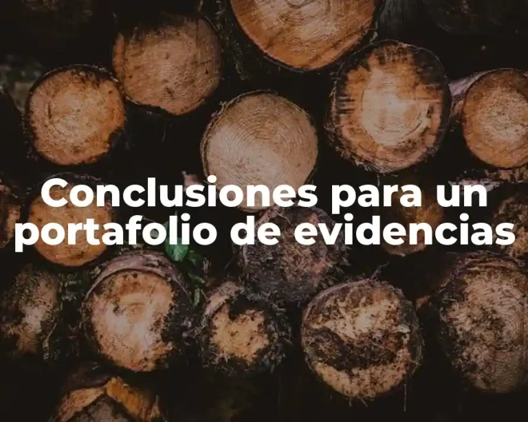 Conclusiones para un portafolio de evidencias