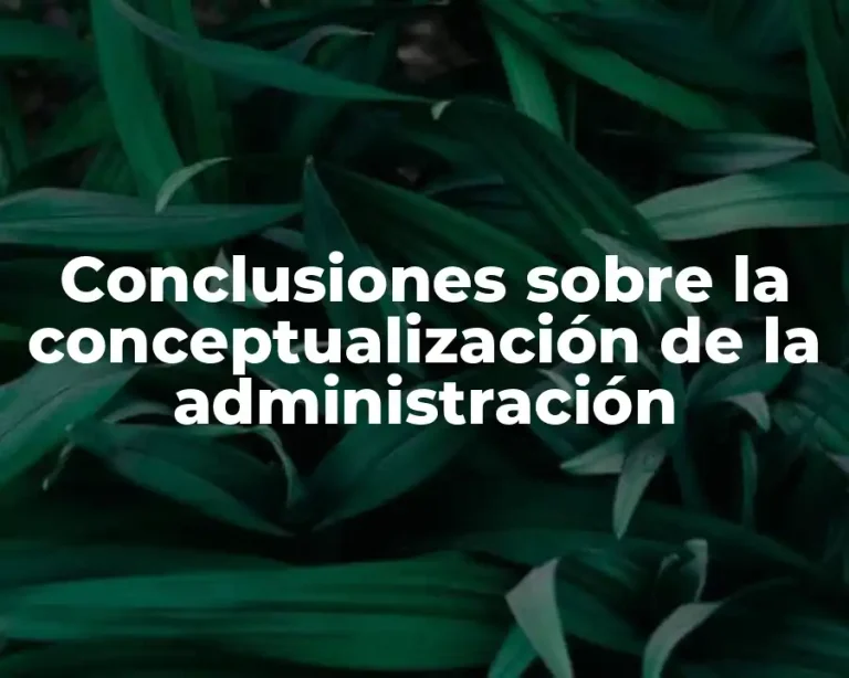 Conclusiones sobre la conceptualización de la administración