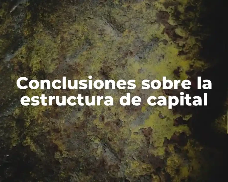 Conclusiones sobre la estructura de capital