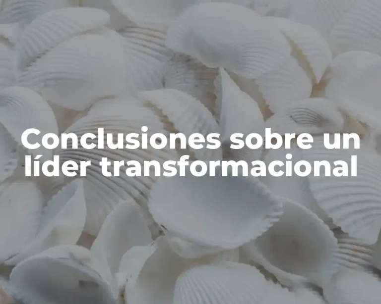 Conclusiones sobre un líder transformacional