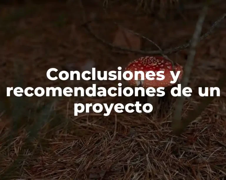 Conclusiones y recomendaciones de un proyecto