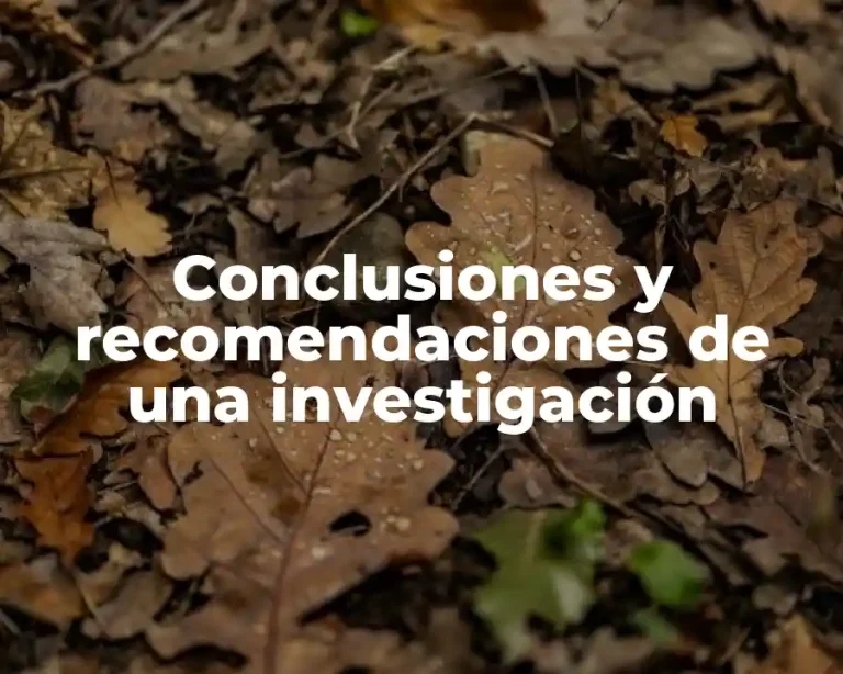 Conclusiones y recomendaciones de una investigación