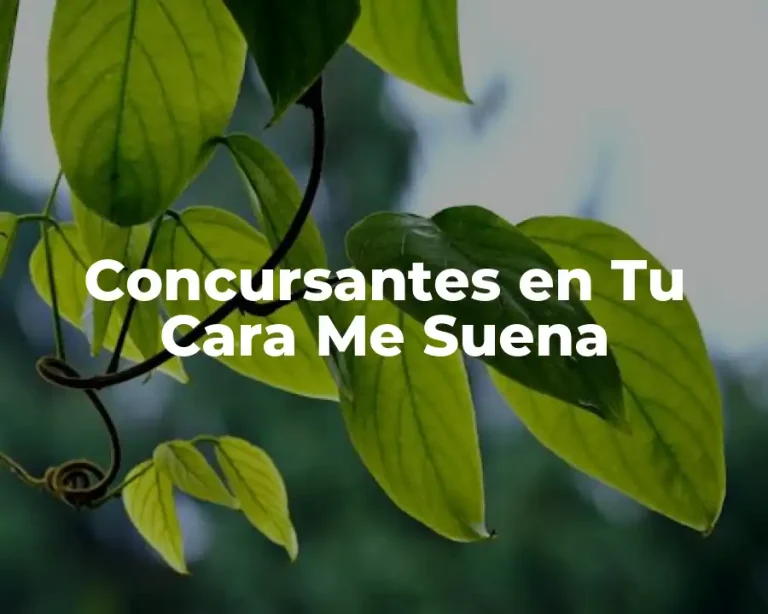 Concursantes en Tu Cara Me Suena