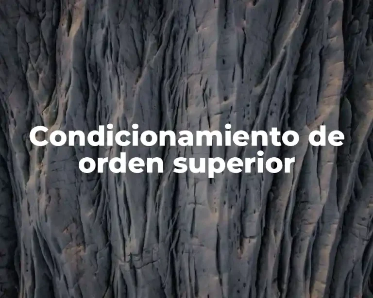 Condicionamiento de orden superior