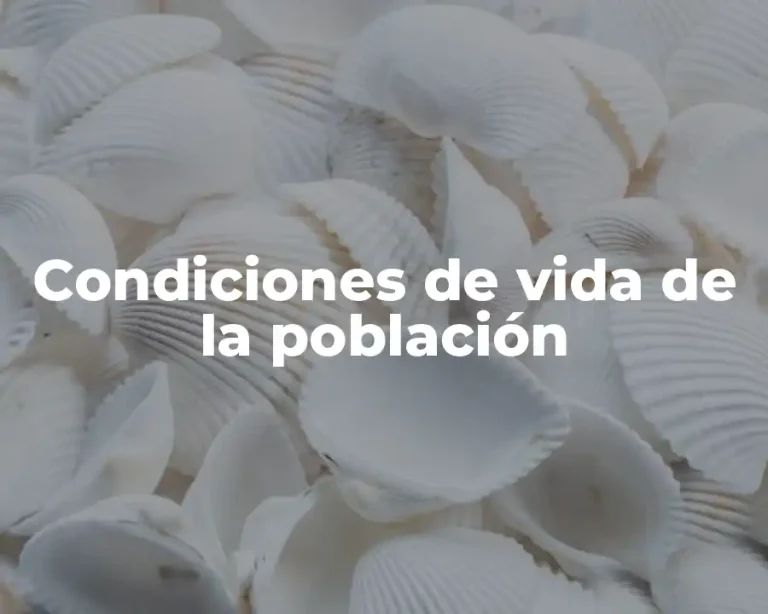 Condiciones de vida de la población