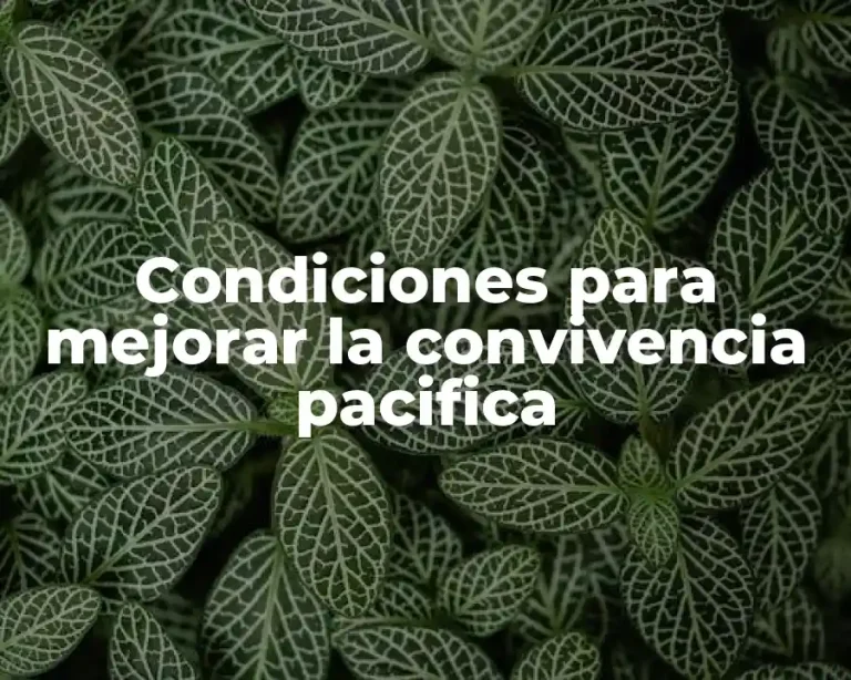 Condiciones para mejorar la convivencia pacifica