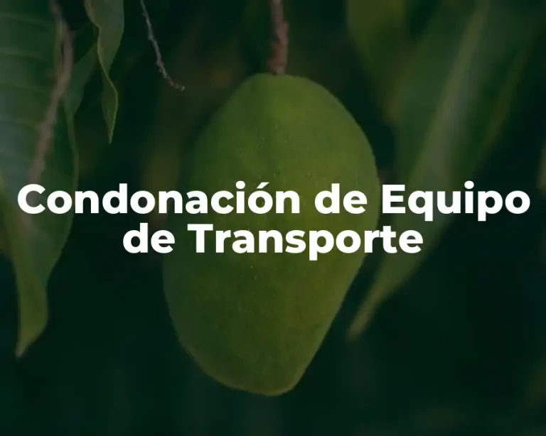 Condonación de Equipo de Transporte