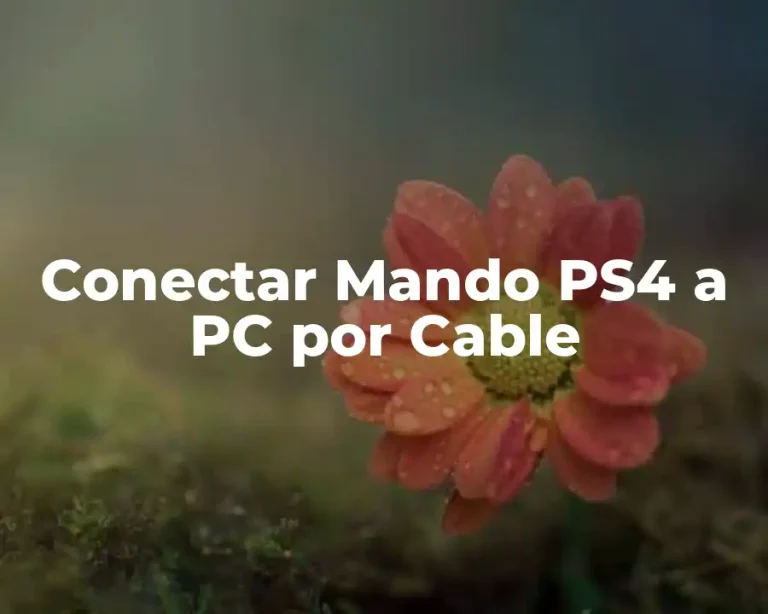 Conectar Mando PS4 a PC por Cable