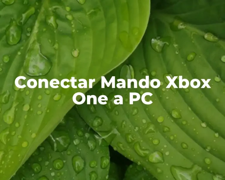 Conectar Mando Xbox One a PC