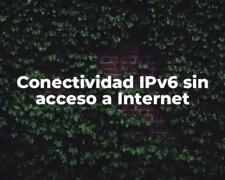 Conectividad IPv6 sin acceso a Internet