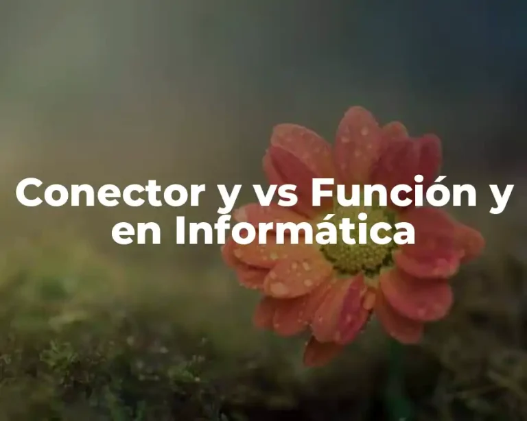 Conector y vs Función y en Informática
