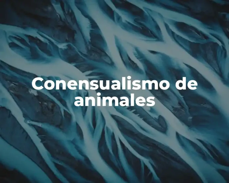 Conensualismo de animales