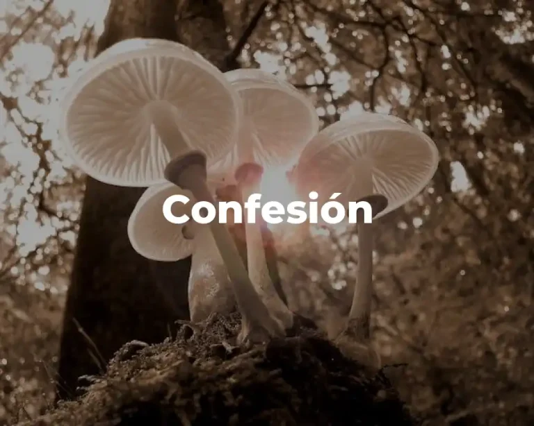 Confesión