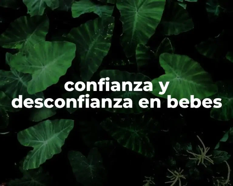 confianza y desconfianza en bebes