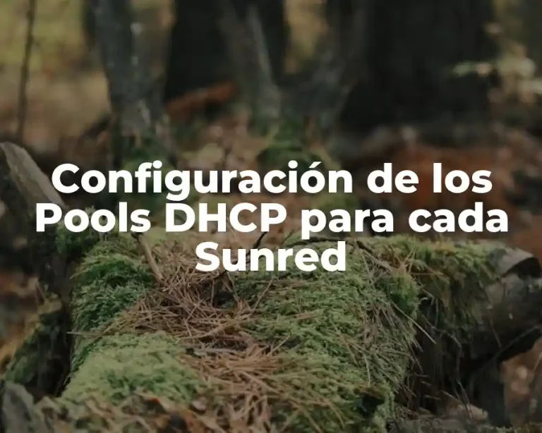 Configuración de los Pools DHCP para cada Sunred