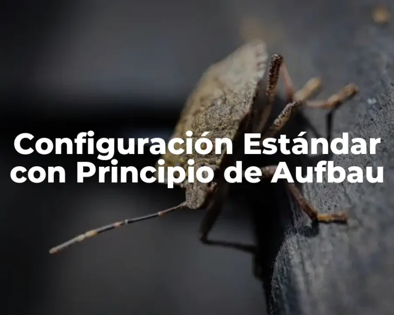Configuración Estándar con Principio de Aufbau