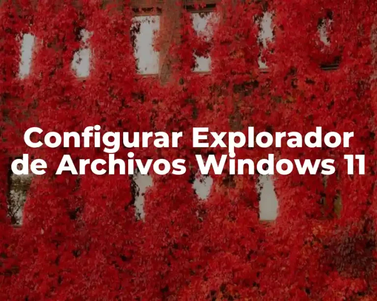 Configurar Explorador de Archivos Windows 11