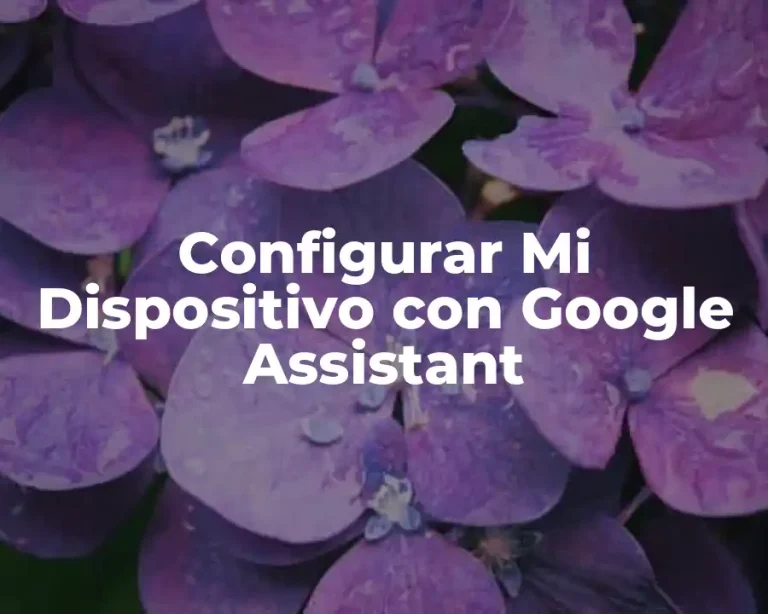 Configurar Mi Dispositivo con Google Assistant