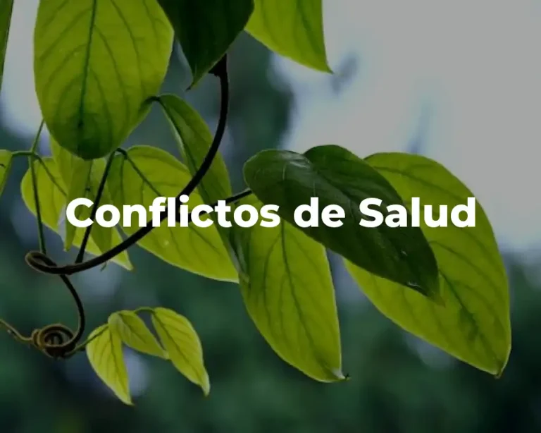 Conflictos de Salud